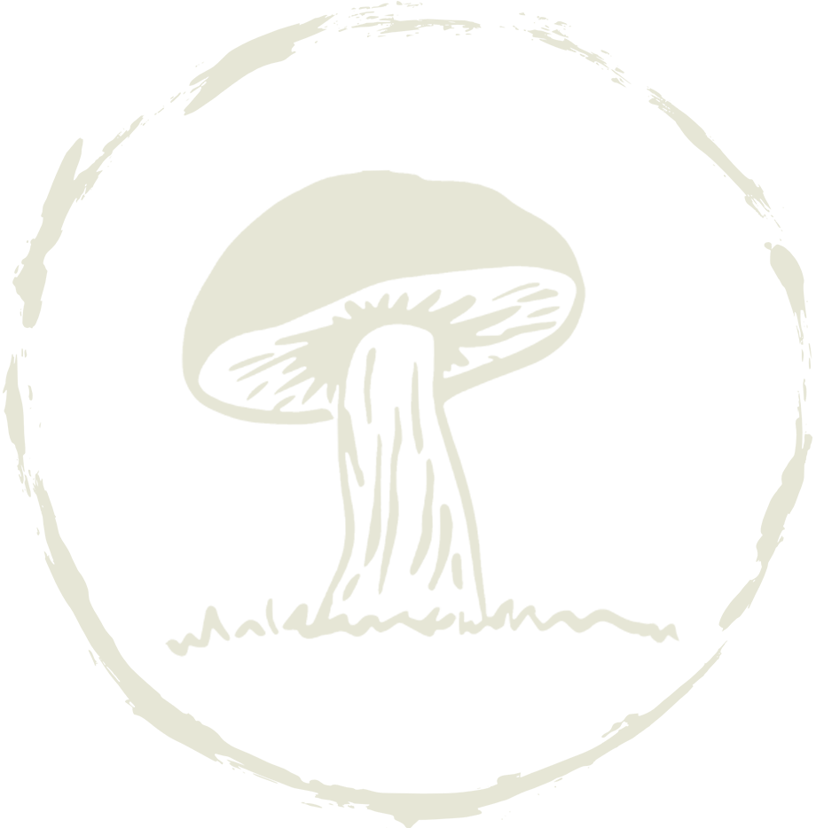 Calm Mushroom
